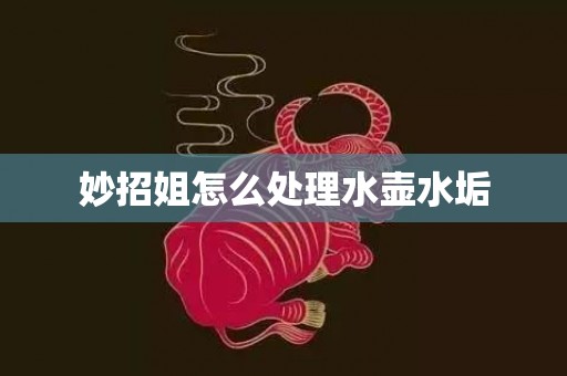 妙招姐怎么处理水壶水垢