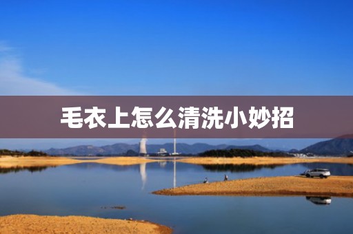 毛衣上怎么清洗小妙招