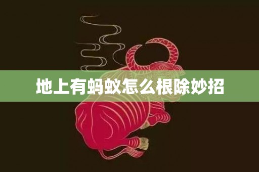 地上有蚂蚁怎么根除妙招