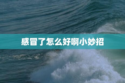 感冒了怎么好啊小妙招
