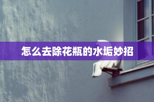 怎么去除花瓶的水垢妙招