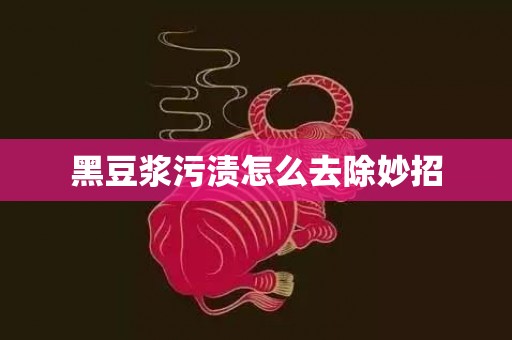 黑豆浆污渍怎么去除妙招