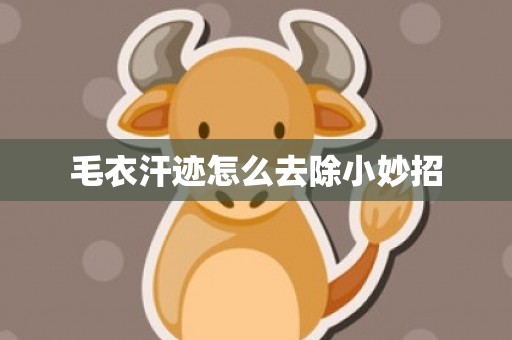 毛衣汗迹怎么去除小妙招