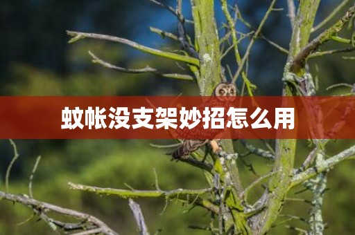 蚊帐没支架妙招怎么用