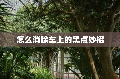 怎么消除车上的黑点妙招
