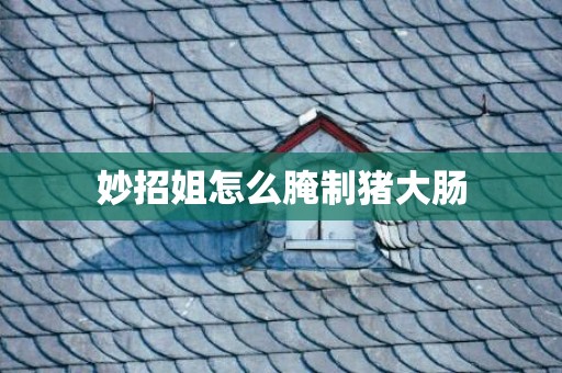 妙招姐怎么腌制猪大肠