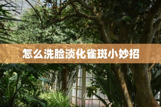 怎么洗脸淡化雀斑小妙招