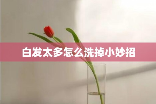 白发太多怎么洗掉小妙招
