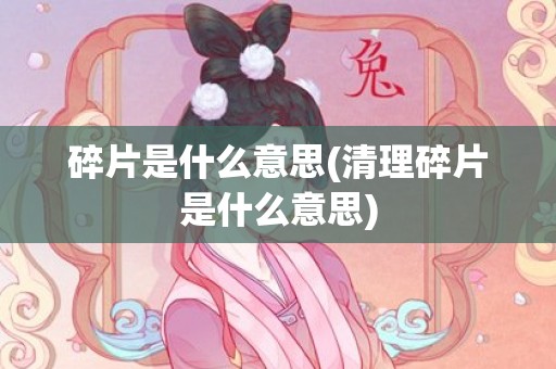 碎片是什么意思(清理碎片是什么意思)