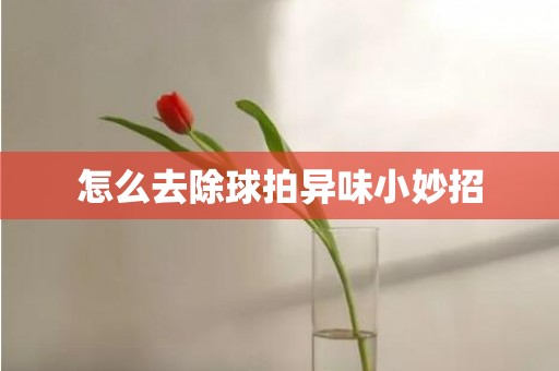 怎么去除球拍异味小妙招