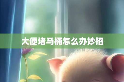 大便堵马桶怎么办妙招