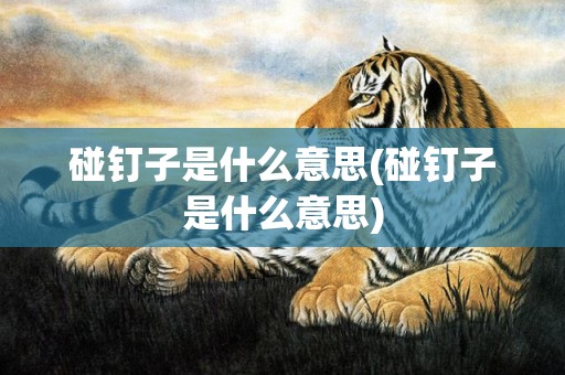 碰钉子是什么意思(碰钉子是什么意思)