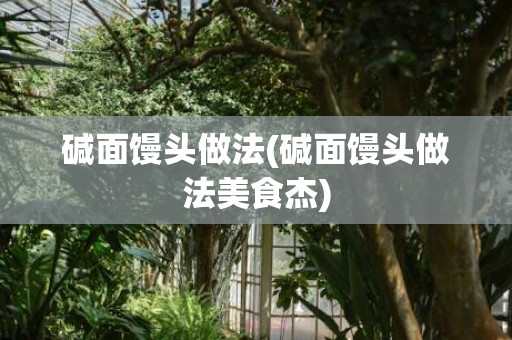 碱面馒头做法(碱面馒头做法美食杰)