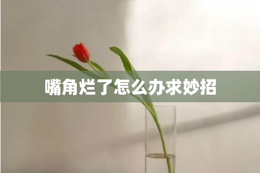 嘴角烂了怎么办求妙招