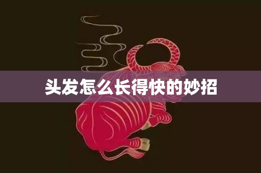 头发怎么长得快的妙招