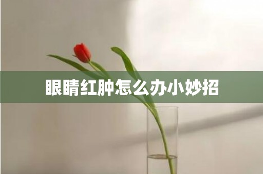 眼睛红肿怎么办小妙招