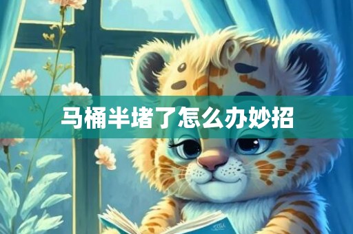 马桶半堵了怎么办妙招