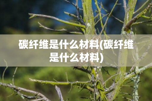 碳纤维是什么材料(碳纤维是什么材料)