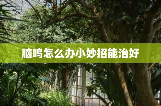 脑鸣怎么办小妙招能治好