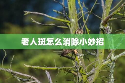 老人斑怎么消除小妙招