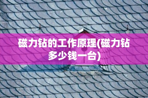 磁力钻的工作原理(磁力钻多少钱一台)
