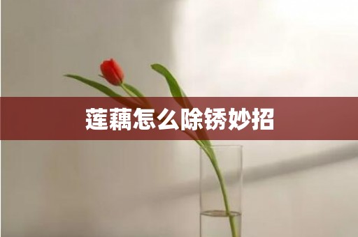 莲藕怎么除锈妙招