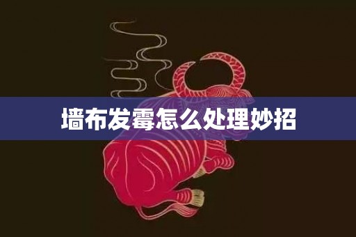 墙布发霉怎么处理妙招