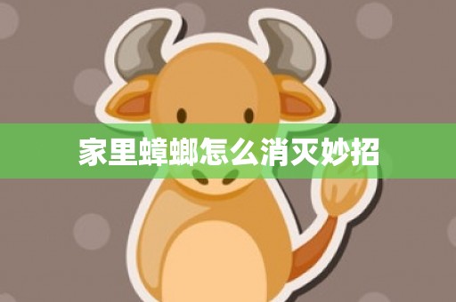 家里蟑螂怎么消灭妙招