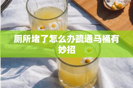 厕所堵了怎么办疏通马桶有妙招