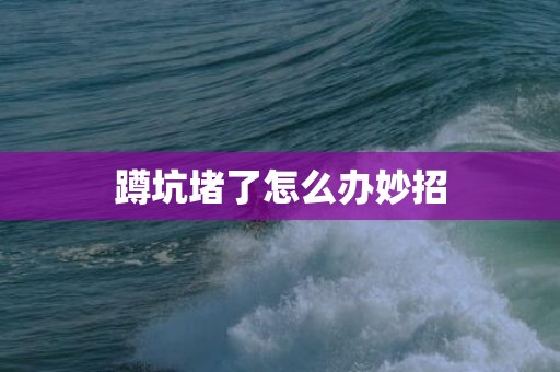 蹲坑堵了怎么办妙招