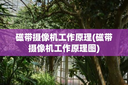 磁带摄像机工作原理(磁带摄像机工作原理图)