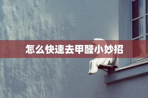 怎么快速去甲醛小妙招