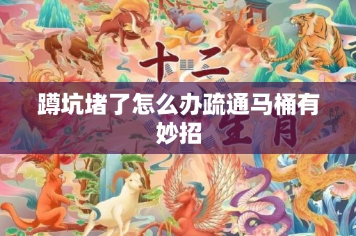 蹲坑堵了怎么办疏通马桶有妙招