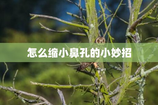 怎么缩小鼻孔的小妙招