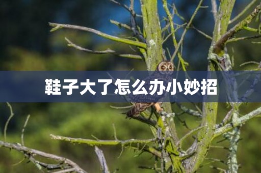 鞋子大了怎么办小妙招