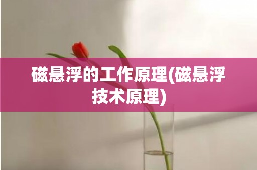 磁悬浮的工作原理(磁悬浮技术原理)