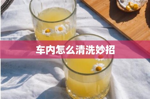 车内怎么清洗妙招