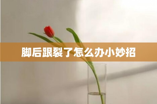 脚后跟裂了怎么办小妙招