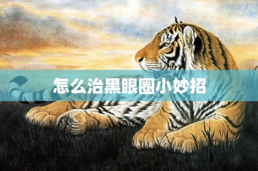 怎么治黑眼圈小妙招