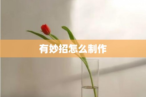 有妙招怎么制作