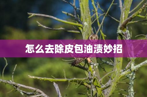 怎么去除皮包油渍妙招