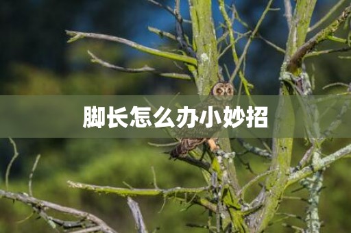 脚长怎么办小妙招