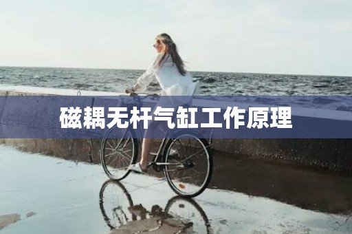 磁耦无杆气缸工作原理
