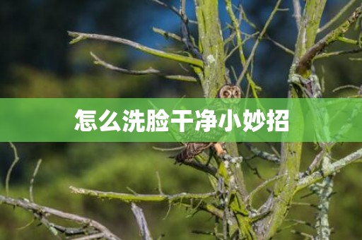 怎么洗脸干净小妙招