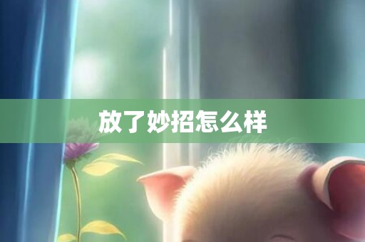 放了妙招怎么样