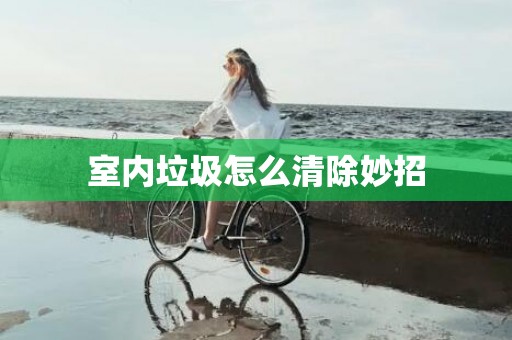 室内垃圾怎么清除妙招