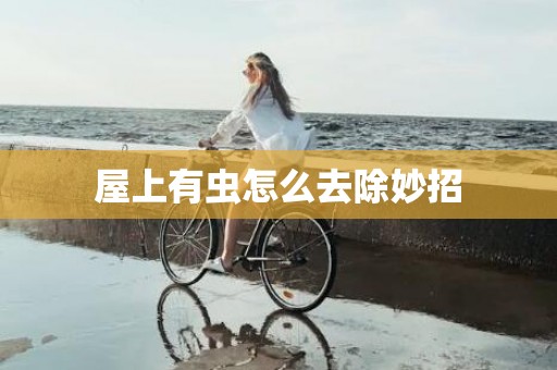屋上有虫怎么去除妙招