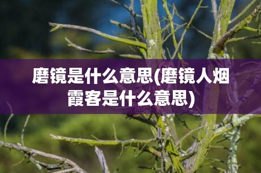 磨镜是什么意思(磨镜人烟霞客是什么意思)