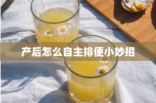 产后怎么自主排便小妙招