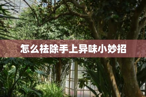 怎么祛除手上异味小妙招